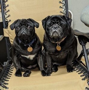 Meet your Posher, Brenda